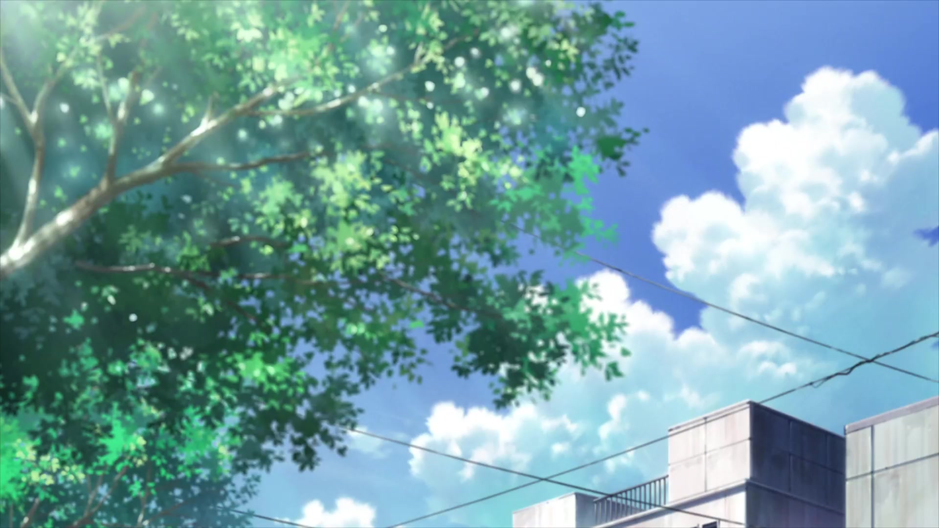 [Tsukyio Editing Resources] I Want to Eat Your Pancreas Raw Clips (855) (tsukyio.com).mp4